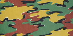 Jigsaw Camouflage