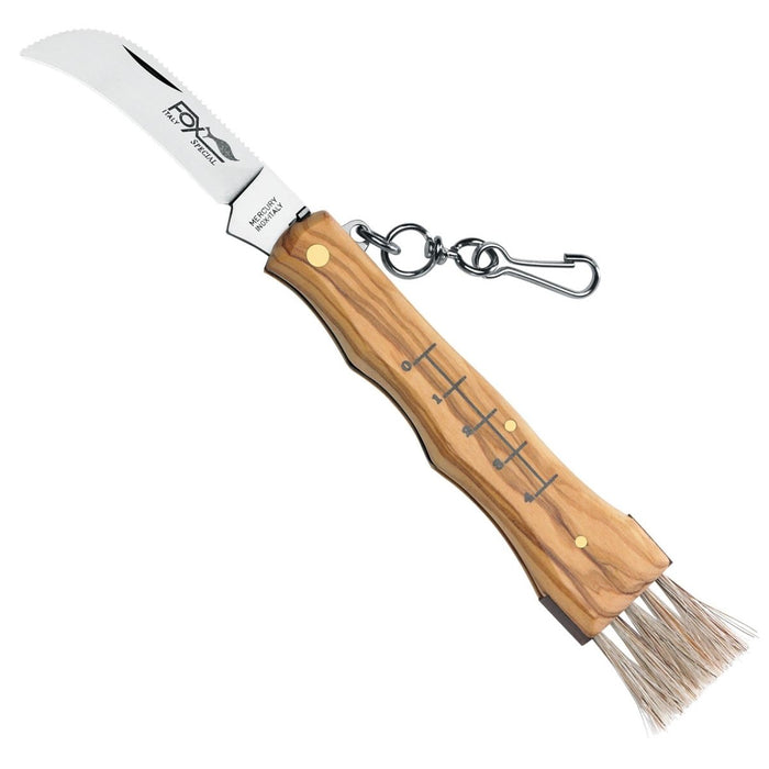 FoxKnives MUSHROOM KNIFE 405 OL Fixed Mushroom Knife AISI 420C Stainless Steel - GoMilitar